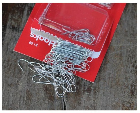 704486_10151206010442655_298867684_o