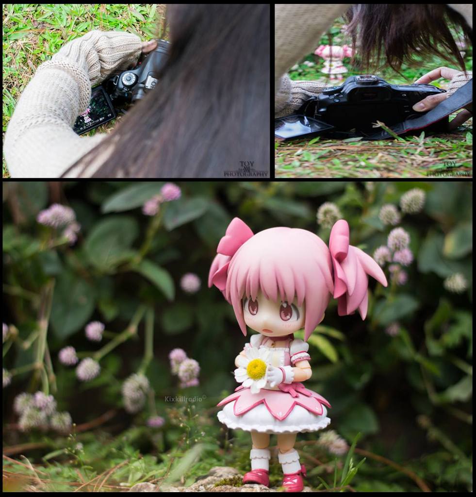 741279_10201846896207703_98804768_o (1)