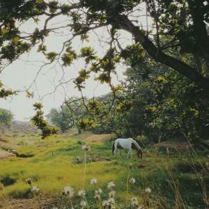 8ee6812f7cc96cefea717766a84252730aa8dc1c6c32532eb03412f5b62fdc91